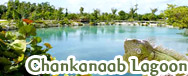 Chankanaab Lagoon