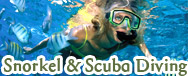 Dolphin snorkel in Cozumel