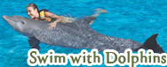 Swim with dolphins programs